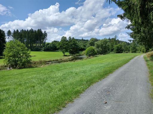 Saaleradweg neben der sächsischen Saale