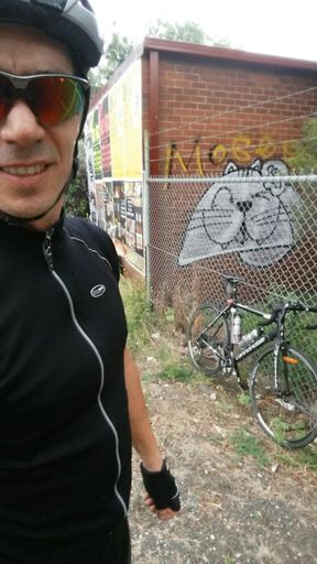 White Crazy cat in Kensington