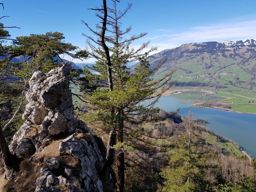 Gotterli, lac des 4 cantons