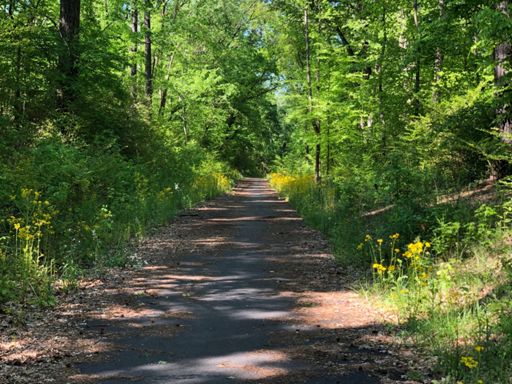Fun trail bypassing busy section of AL-79.