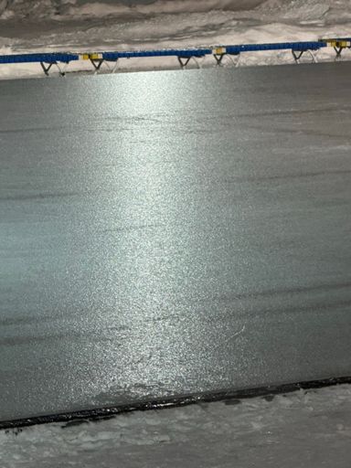 こんな氷じゃあ滑れないよ🫩