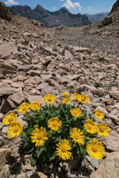 Lacs des Estaris, roc Dolion et retour par Prapic