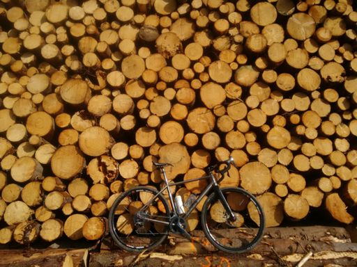 Don't climb on the log stacks