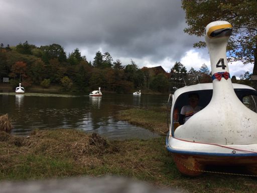 紅葉写真コンテスト開催