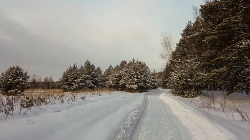 Дорога из Войново на восток.