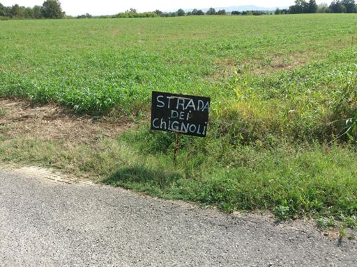 Passato di qui un milione di volte e non l'avevo mai notata questa stradina