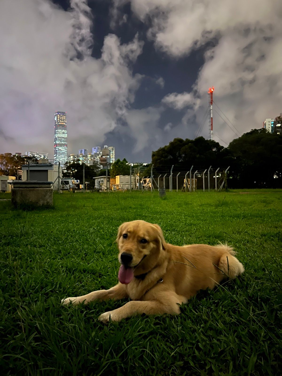 던컨 테일러 스트라슬라 40년 레어 올드