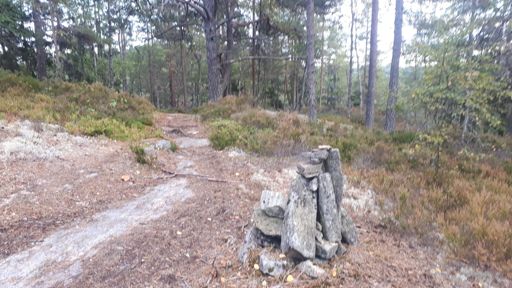 Den glemte sti over Langvannsbrenninga