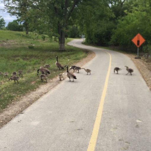 Don't get too close 😳