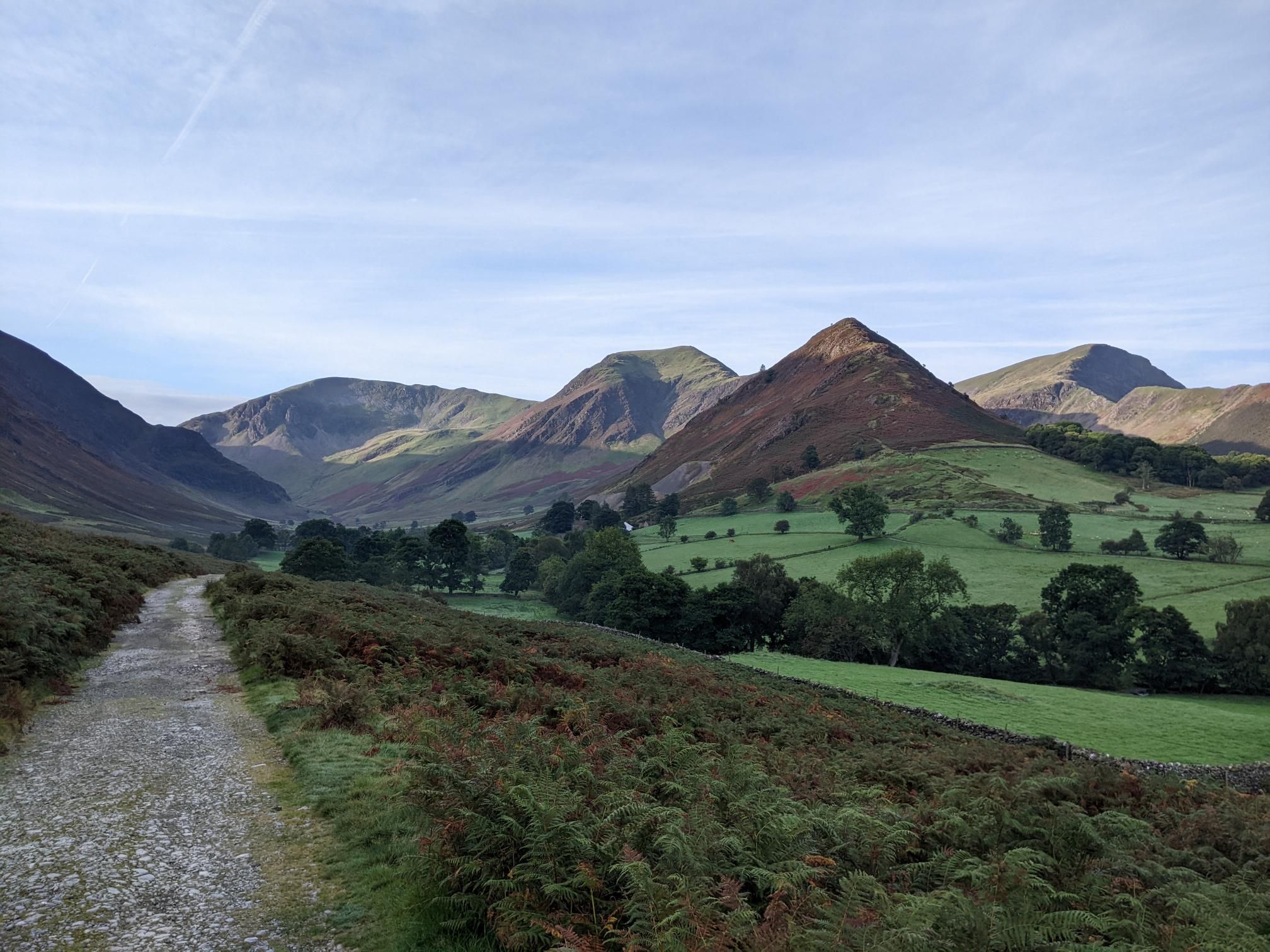 Another wild camp! photo 15