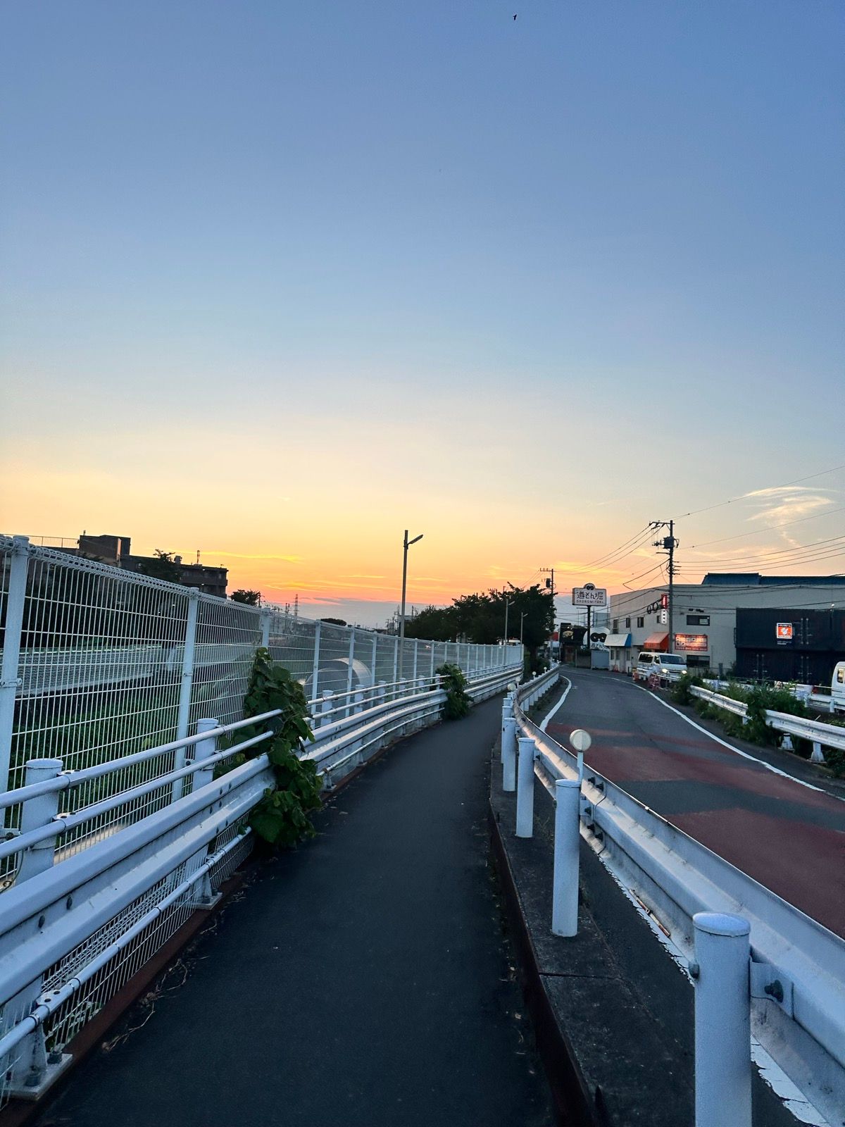 Evening Run