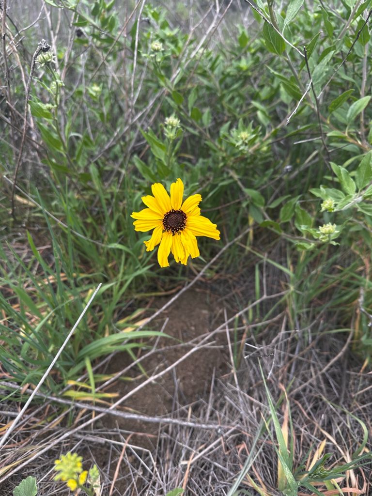 NBB run - Lake Hollywood: фото 113