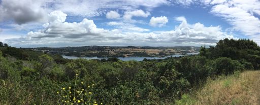 Crystal Springs reservoir