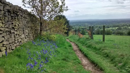 Collar bone day! Ouch :(