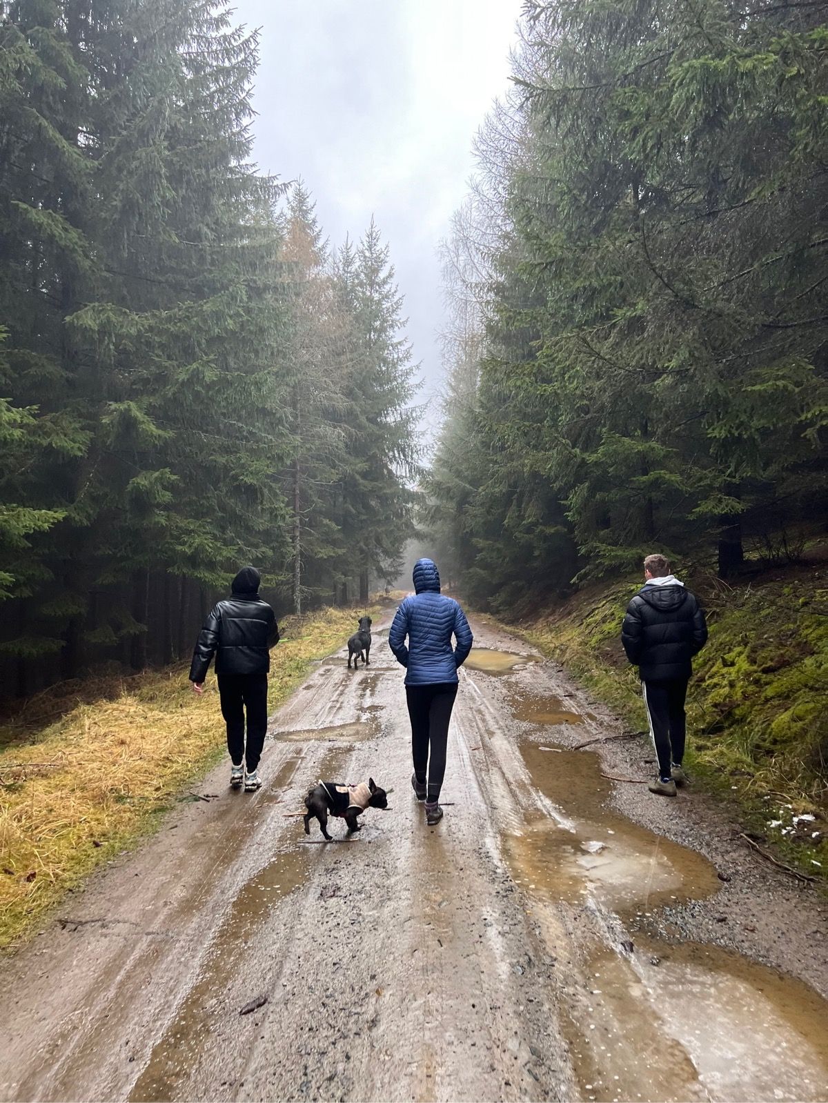 Perfil de ciclista profesional de Strava Petr Kelemen