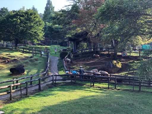 メェェー、夕食タイムみたいです。