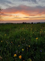 Sortie à vélo le soir