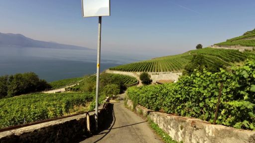 Sacrées descente dans le Lavaux