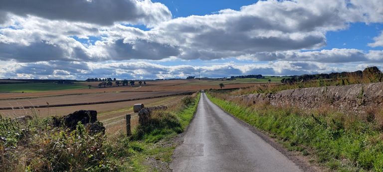 Lorraine was ahead of me, as always with hills. Down then left then right, climbing again.