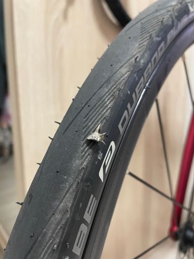 Со мной приехала домой. Хорошая попытка, колючка, но не сегодня 😀