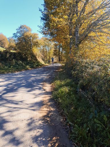 Le sanglier en action 💣🤘