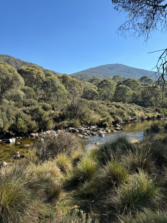 Jindabyne to Thredbo return 90.9 km Cycling Route on Strava