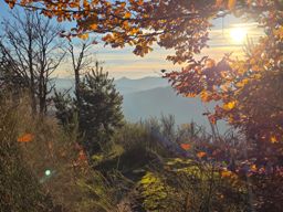 Dans les coins de Wuestenberg