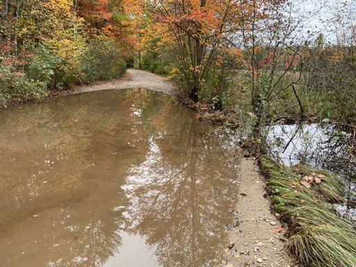 Watch a pick up drive through this and thought better about following