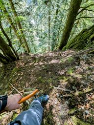 Crapahutage matinal dans les hautes vosges