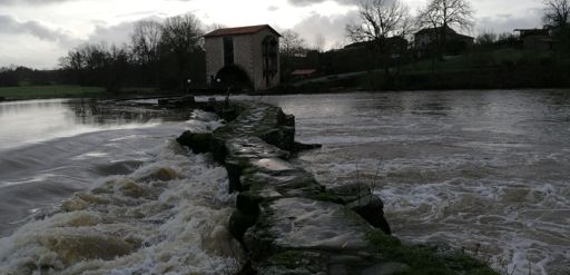 La sevre au moulin de la roche à Tiffauges