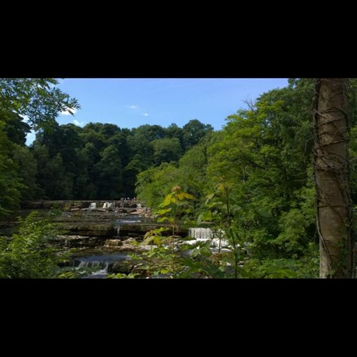 Aysgarth Falls