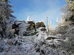Trotte blanche au Gazon du Faing
