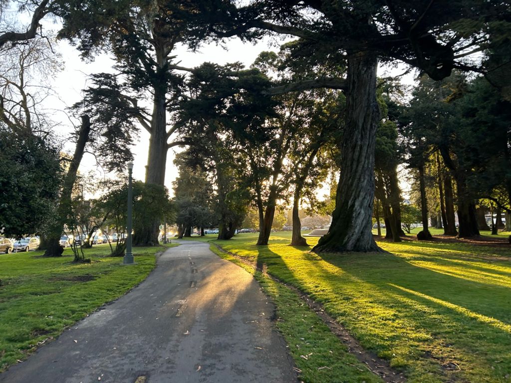 Butterlap (Presidio & Golden Gate Park) photo 167