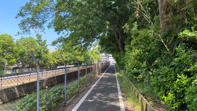 _lZzuuCAxNz43f5m53rrac-o1z73ju