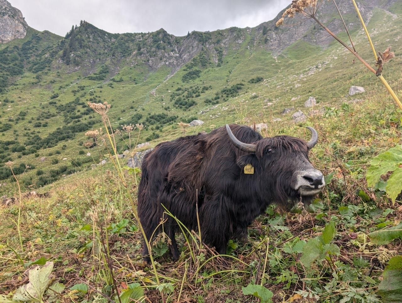 GR5 Part 1 - Day 2 photo 13