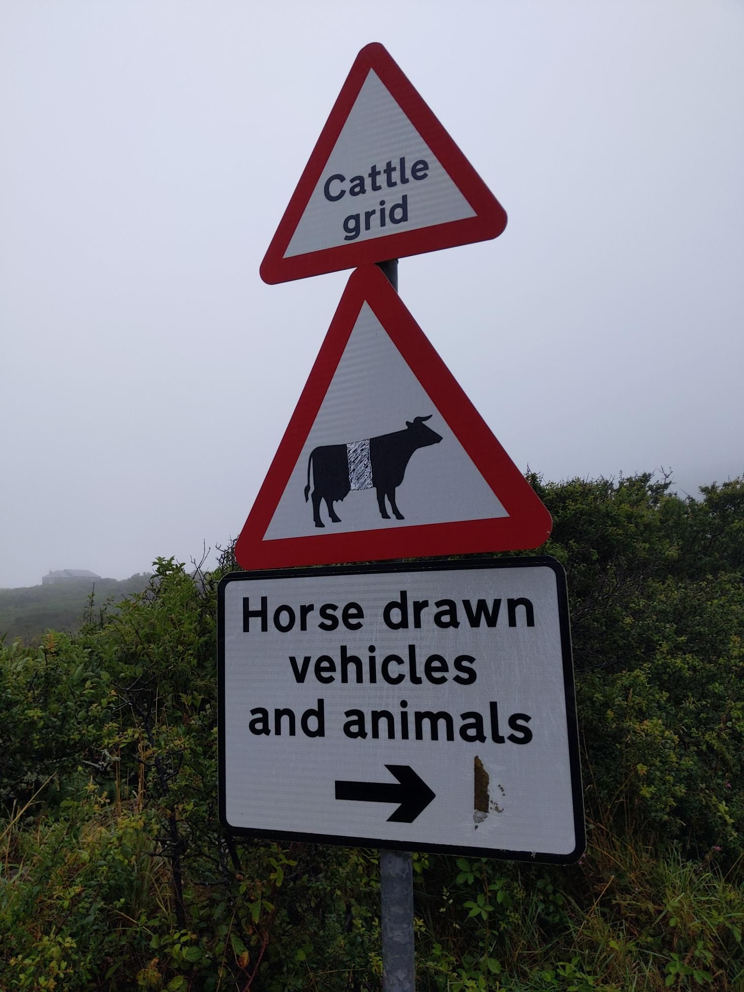 Skipton to Lands End - Day 7 photo 4