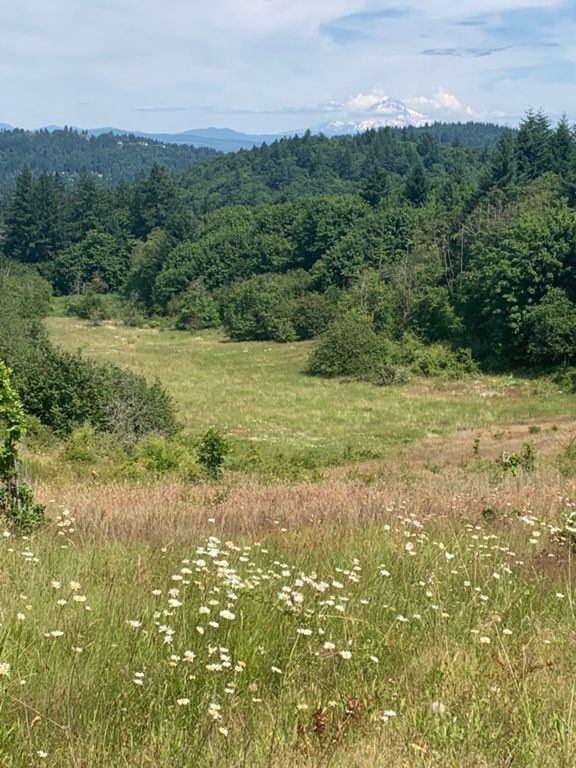 Powell Butte photo 2