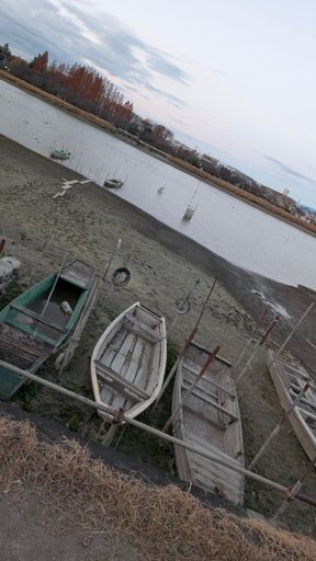 伊佐沼
木造の舟あるんだ