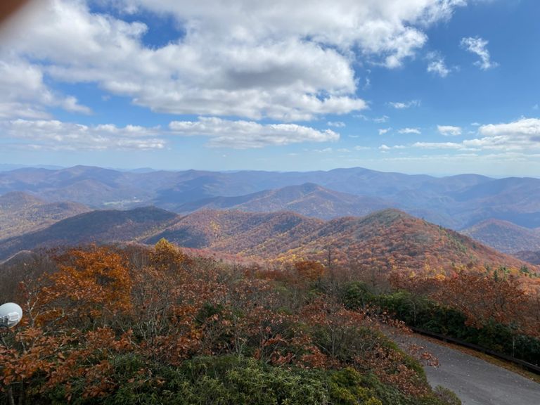 Brasstown Bald Jack's Gap Ascent 2.9 mi Trail Running Route on Strava