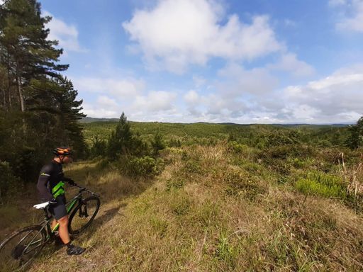 Aquela pausa pra tentar se localizar no caminho