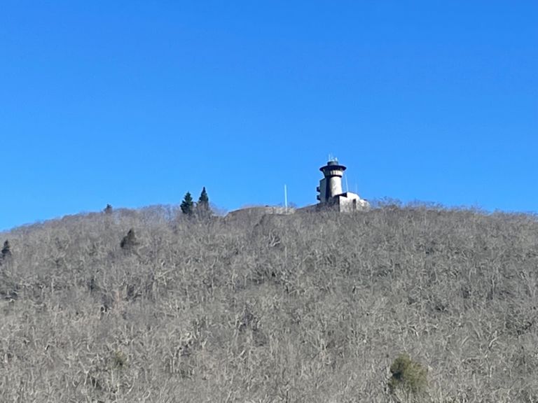 home brasstown bald 160.5 mi Cycling Route on Strava