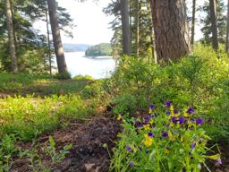 Visite à Christian au lac