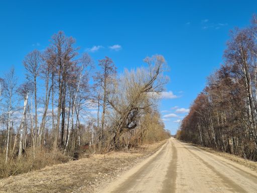 Закубежье - Остров.