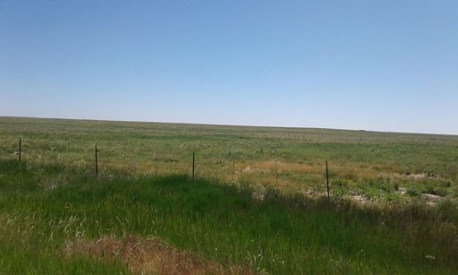 Grass all around. You know it's a good day when you do 160+ miles and there are no Strava segments.