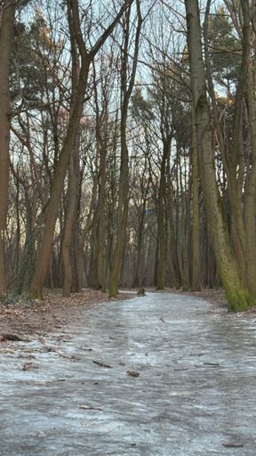 Ordentlich vereist sind die Wege im Naturpark „Fauler See“ noch. ❄️ Also hieß es, vorsichtig laufen. 🚶‍♂️😅💦