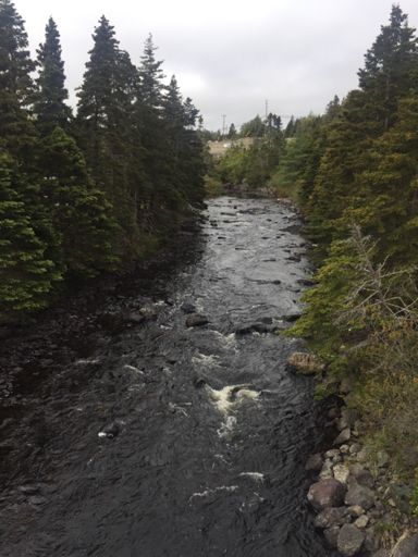 Holyrood river