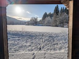 Balade dans la neigr