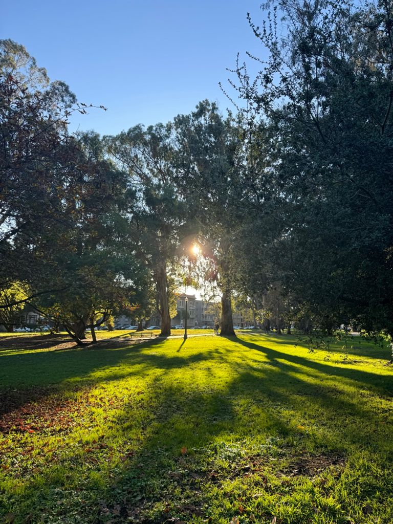 Butterlap (Presidio & Golden Gate Park) photo 14