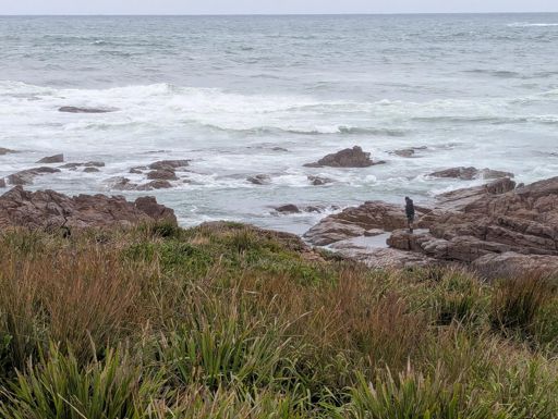 Who cares about rock fishing warnings!