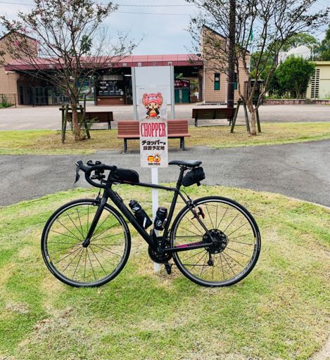 俺タヌキじゃねぇ💢
撫でられたって嬉しくねぇぞぉ、このヤロがぁ🦌